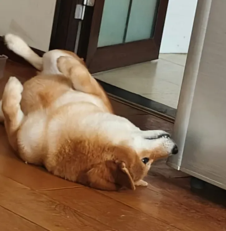 团