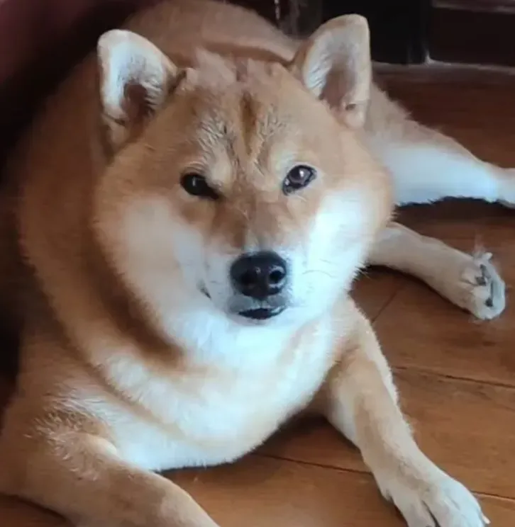 团