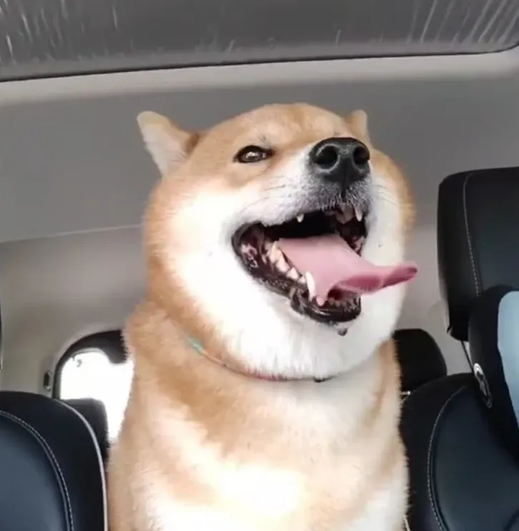 团