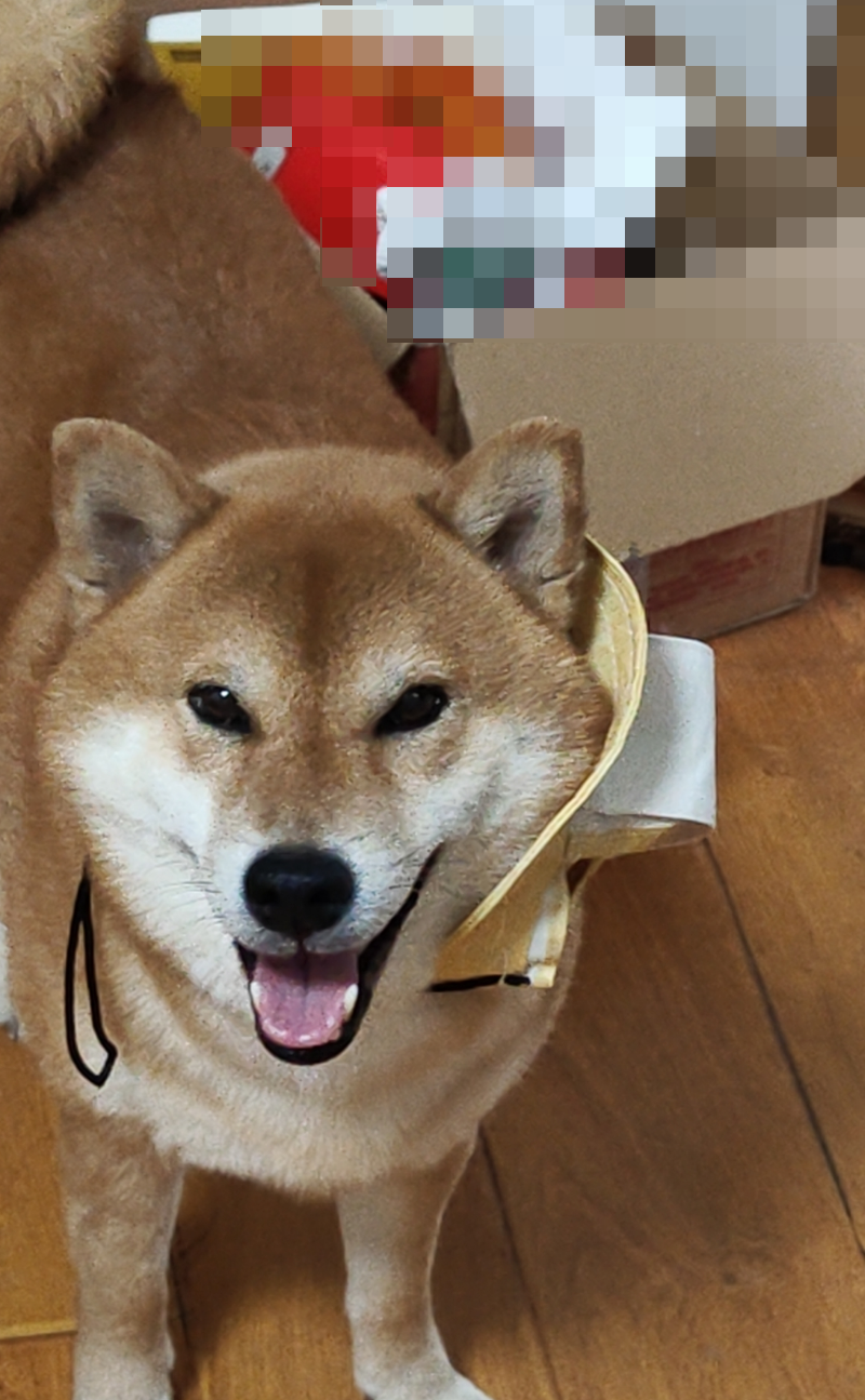 团